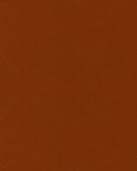 Beechwood 5 Cayenne by  Europatex 