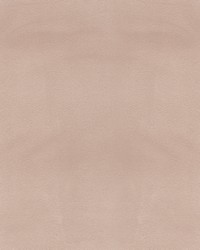 Beechwood 6 Tearose by  Europatex 