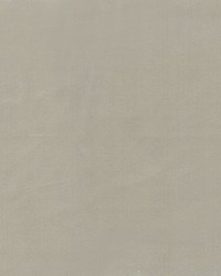 Beechwood 8 Sandstone by  Europatex 