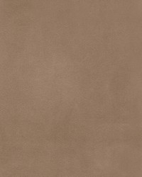 Beechwood 9 Cedar by   