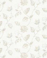 BEHOLD 1 BIRCH BEHOLD 1 BIRCH by