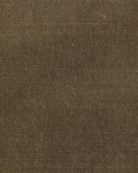 BELGIUM 12 CAPPUCCINO by  Collier Campbell 