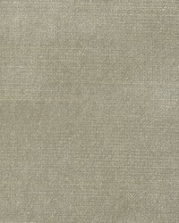 BELGIUM 13 TOAST by  Collier Campbell 