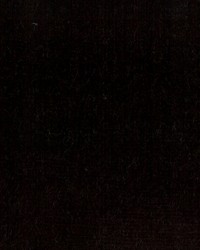 Belgium 2 Black by  Collier Campbell 