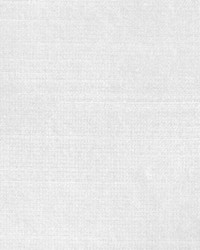 BELGIUM 24 SNOW by  Collier Campbell 