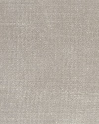 BELGIUM 26 BIRCH by  Collier Campbell 