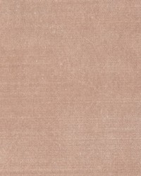 BELGIUM 31 BLUSH by  Collier Campbell 