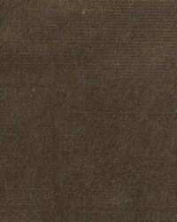 Belgium 7 Shadow by  Collier Campbell 