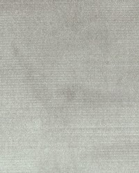 Belgium 8 Spray by  Collier Campbell 