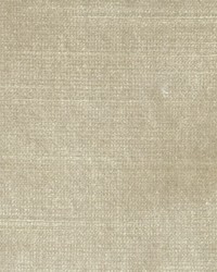 BELGIUM 9 PUMICE by  Collier Campbell 