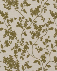 BELPRE 5 PISTACHIO by  Stout 