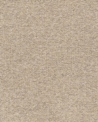 Bender 2 Khaki by  Mirage 