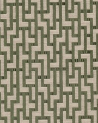 Berber 1 Dill by  Stout 