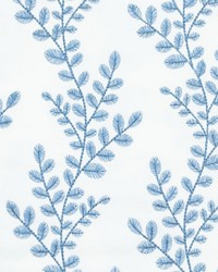 BIGBEND 3 PERIWINKLE by   