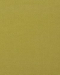 BISMARK 1 CITRINE by  Stout 