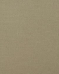 BISMARK 11 SHADOW by  Stout 