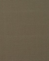 BISMARK 13 TWIG by  Stout 