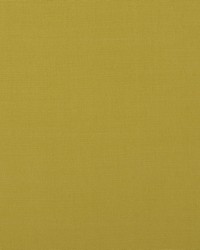 BISMARK 16 DIJON by  Stout 