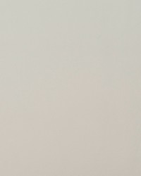 BISMARK 5 SNOW by  Stout 