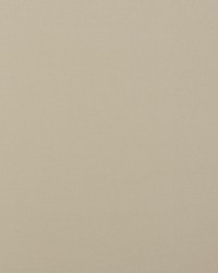 BISMARK 6 BONE by  Stout 