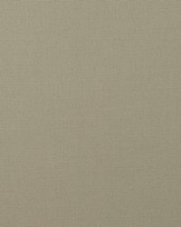 BISMARK 7 PUMICE by  Stout 