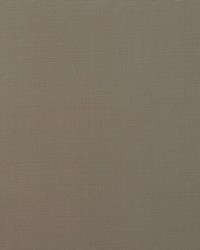 BISMARK 8 TOAST by  Stout 