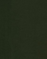 Blabla 1 Jungle by  Stout 