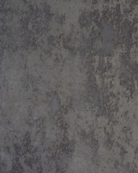 BLAZE 2 GREY by  Stout 