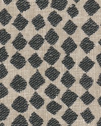 Bluefield 2 Ebony by  Creative Fabrics 