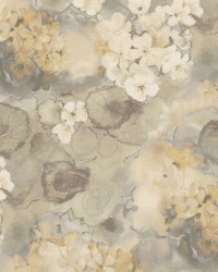 Boomerang 1 Chardonnay by  Stout 