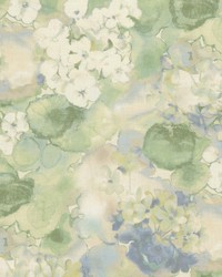 Boomerang 2 Seamist by  Stout 