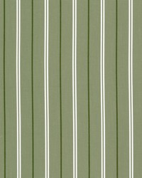 Boretti 1 Pistachio by   