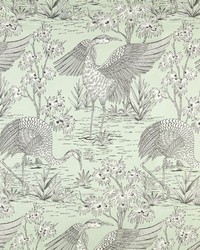 Borneo 1 Bayberry by  Premier Prints 