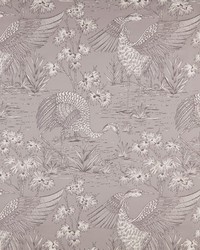 Borneo 2 Mushroom by  Premier Prints 