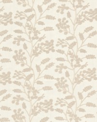 Bottega 1 Birch by  Stout 