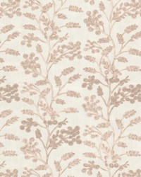 Bottega 3 Blush by  Stout 