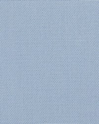 Bouvier 1 Breeze by  Stout 