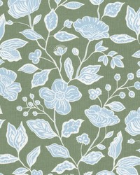 Brett 1 Aloe by  Stout 