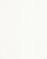 Brevity 1 Frost by  Stout 