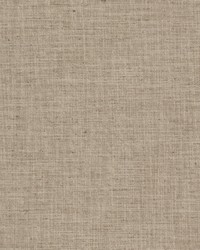 Brighton 5 Biscuit by  Stout 