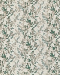 Brio 2 Bay by  Stout 