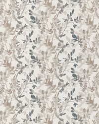 Brio 3 Driftwood by  Stout 