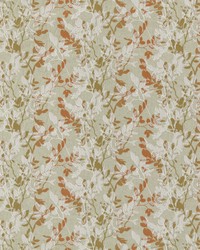 Brio 4 Tigerlily by  Stout 