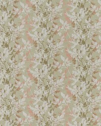 Brio 5 Pear by  Stout 