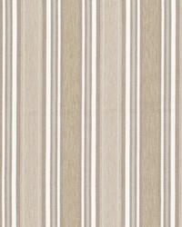 Bronco 3 Beige by  Stout 