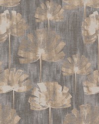 Buchanan 1 Shadow by  Stout 