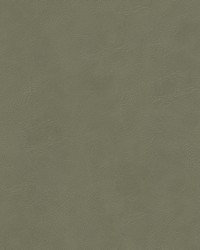 Busoni 1 Bayberry by  Stout 