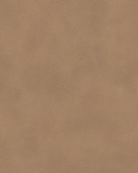 Busoni 2 Caramel by  Stout 