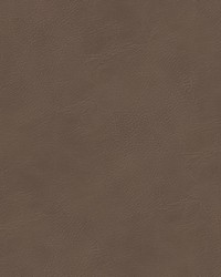 Busoni 3 Brown by  Stout 