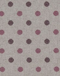 Cabby 1 Vineyard by  Stout 